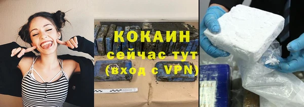 кокс Алексин
