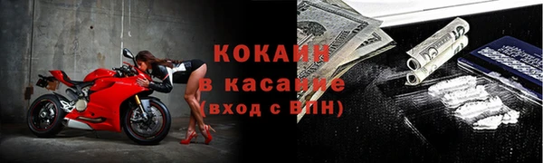 индика Алексеевка