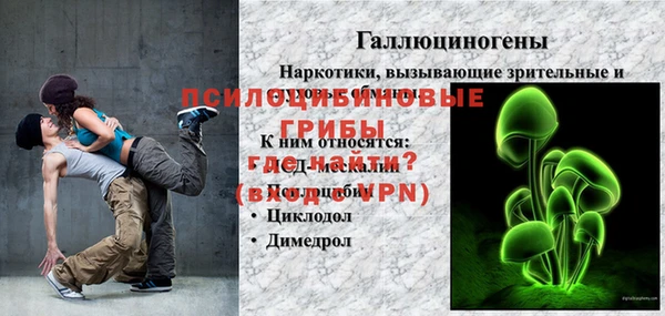 кокс Алексин