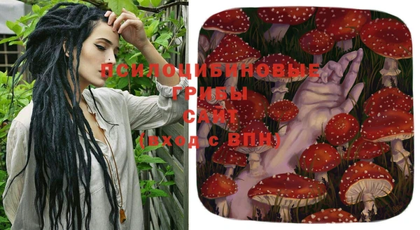 индика Алексеевка
