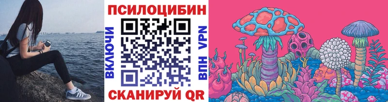 mega ссылки  Димитровград  Галлюциногенные грибы прущие грибы 